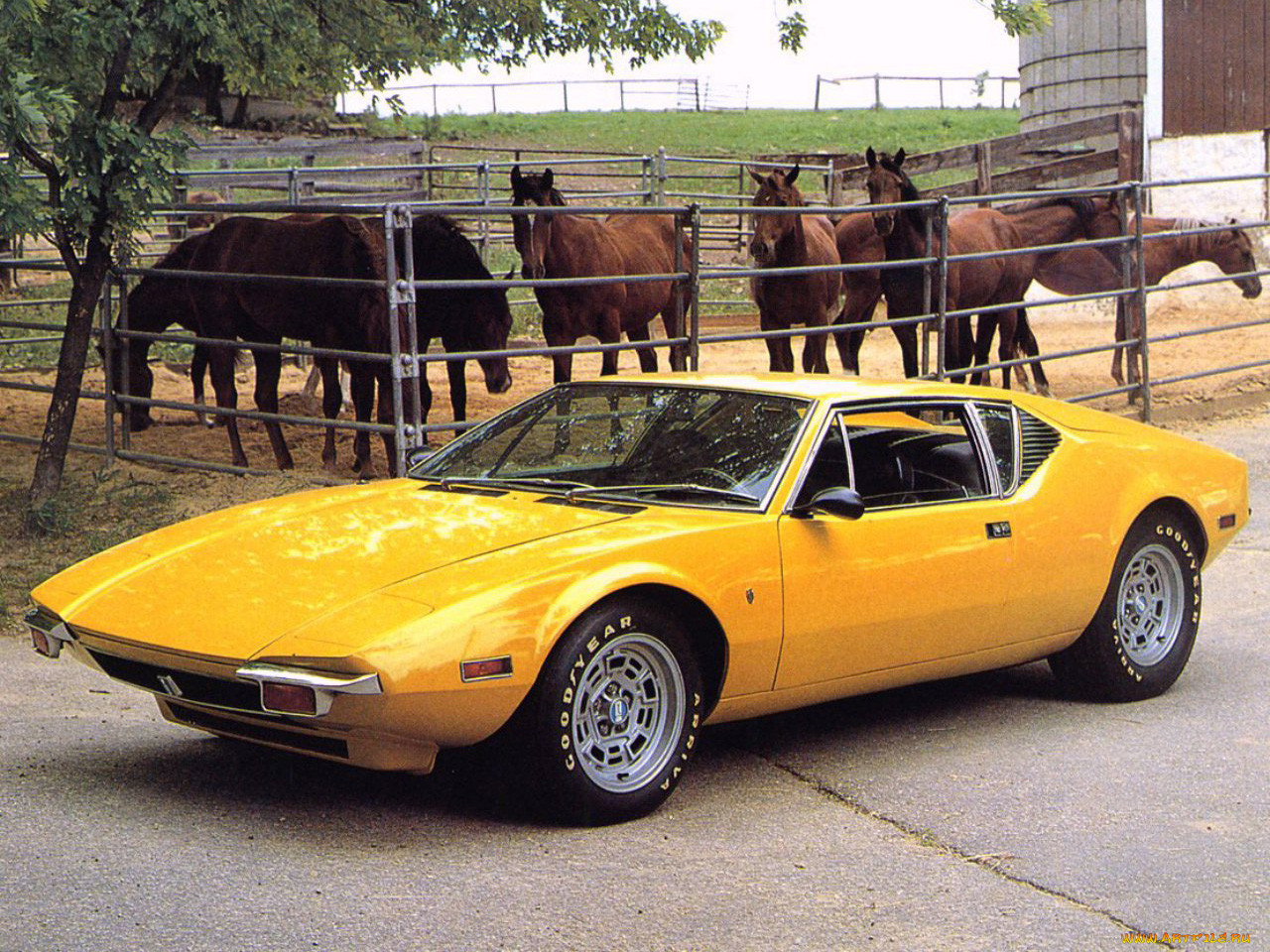 , de, tomaso